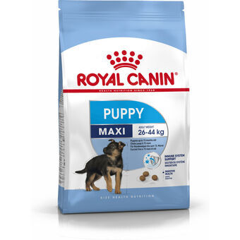 Fôr Royal Canin Maxi Puppy Barn/Junior Fugler 4 Kg