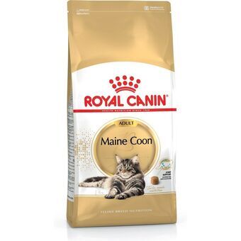 Kattemat Royal Canin Voksen 4 Kg Kylling