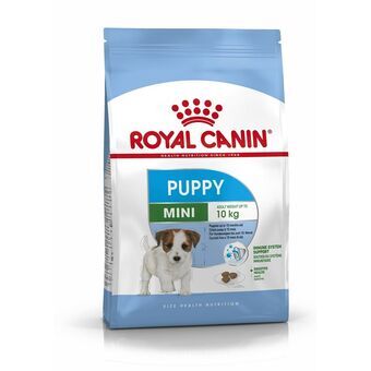 Fôr Royal Canin Mini Puppy Barn/Junior Fugler 4 Kg