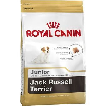 Fôr Royal Canin Jack Russell Junior Barn/Junior Ris Fugler 3 Kg