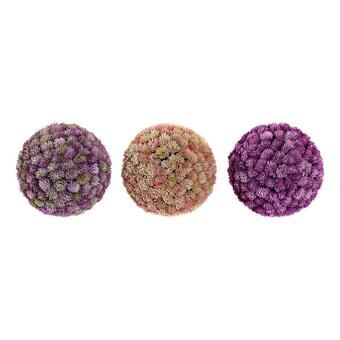 Dekorativ blomst DKD Home Decor Plast Jern (3 pcs)