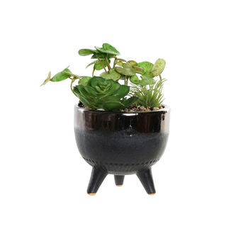 Dekorativ Plante DKD Home Decor Grønn Grå PVC Steintøy (12 x 12 x 18 cm)