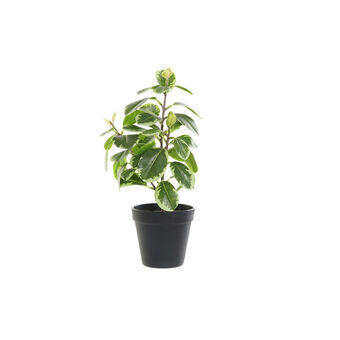 Dekorativ Plante DKD Home Decor Svart Grønn PVC (20 x 15 x 35 cm)