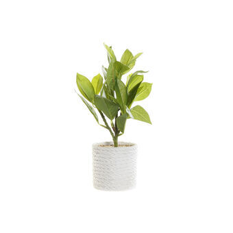 Dekorativ Plante DKD Home Decor Hvit Grønn PVC EVA (23 x 23 x 30 cm)