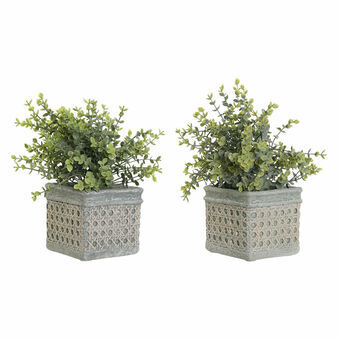 Dekorativ Plante DKD Home Decor Polyetylen Grønn Harpiks (2 pcs) (19 x 19 x 27 cm)