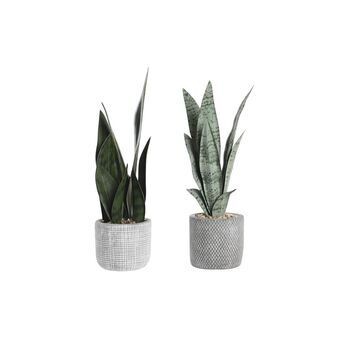 Dekorativ Plante DKD Home Decor Grå Grønn Harpiks PE (10,5 x 10,5 x 34,5 cm) (2 enheter)