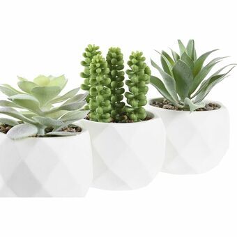 Dekorativ Plante DKD Home Decor Hvit Grønn Harpiks PE (10 x 10 x 14 cm) (3 enheter)