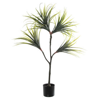 Dekorativ Plante Alexandra House Living Plast Dracaena 15 x 27 x 121 cm