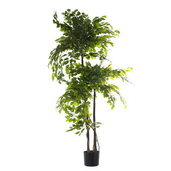 Dekorativ Plante Alexandra House Living Plast Fig 18 x 22 x 162 cm