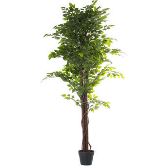 Dekorativ Plante Alexandra House Living Plast Fig 16 x 16 x 162 cm