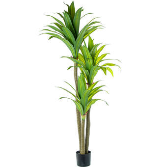 Dekorativ Plante Alexandra House Living Plast Dracaena 180 cm