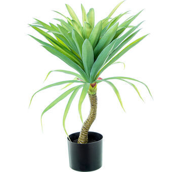 Dekorativ Plante Alexandra House Living Plast Yucca 70 cm