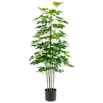 Dekorativ Plante Alexandra House Living Plast Schefflera 125 cm