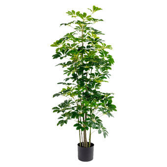 Dekorativ Plante Alexandra House Living Plast Schefflera 155 cm