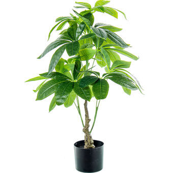 Dekorativ Plante Alexandra House Living Plast Vannpachira 90 cm