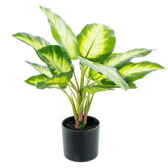 Dekorativ Plante Alexandra House Living Plast Aglaonema 50 cm