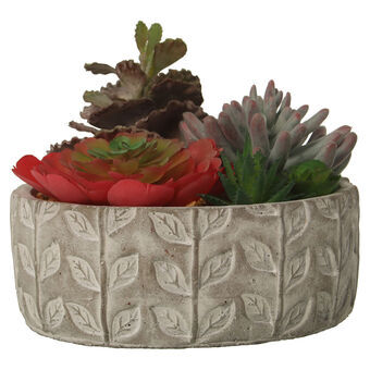 Dekorativ Plante Alexandra House Living Plast Saftige 20 x 21 x 18 cm