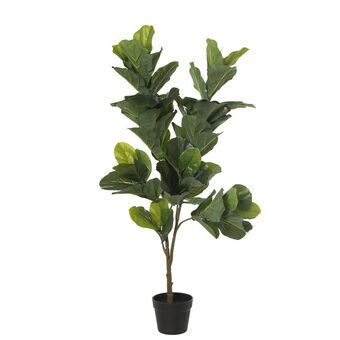 Dekorativ Plante Alexandra House Living Plast Fig 14 x 19 x 108 cm