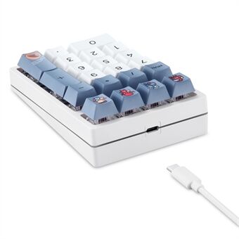 DARMOSHARK K3QMK USB Kablet 21 Taster Numerisk Tastatur Mini Bærbar RGB Bakgrunnsbelyst Mekanisk Spillnummer Pad Programmerbar for datamaskiner