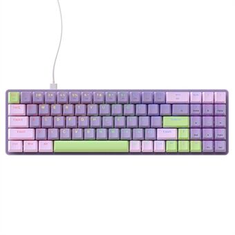 ZIYOULANG K65 78 nøkler Hot-utbyttbar mekanisk tastatur RGB-lys USB-kablet tastatur