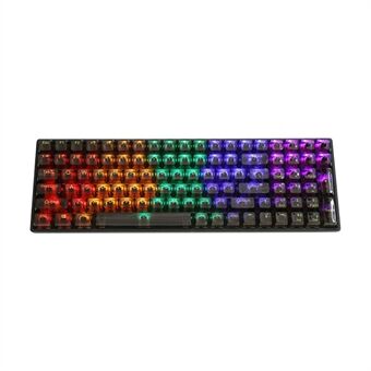 Y-FRUITFUL K10 100 nøkler Type-C kablet mekanisk tastatur med RGB-lys, transparent svart+blå bryter